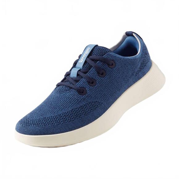 NEW ALLBIRDS women's tree runner go sneakers in blue